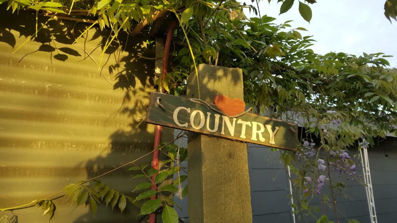 Dragonflycottagebnb Grovetown Exterior foto