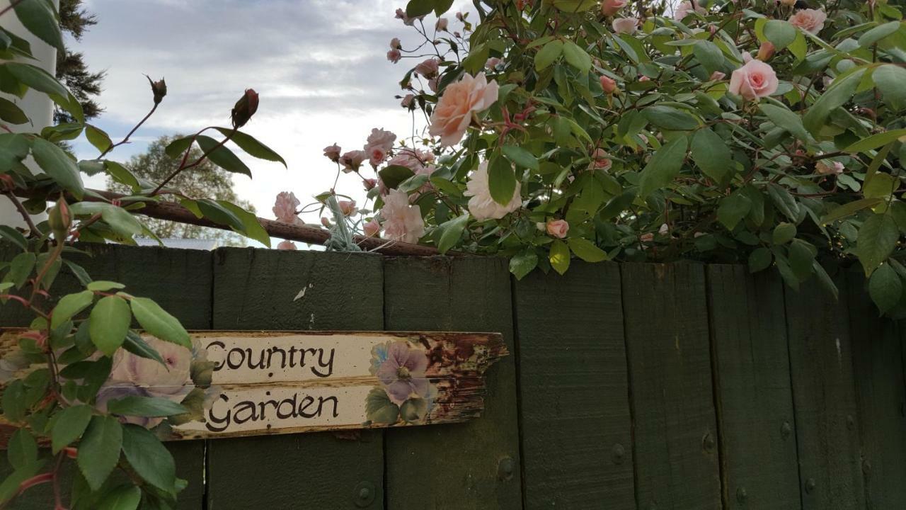 Dragonflycottagebnb Grovetown Exterior foto